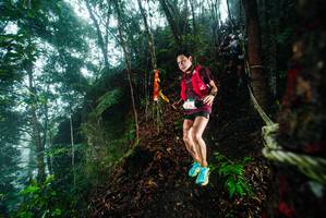 BIB: 
                            <button type="button" onclick="openModal(26230638)" class="btn btn-primary btn-sm float-right btn-popup" data-toggle="modal" data-target=".modal-high-quality">
                        <i class="fas fa-shopping-cart"></i> Add to Cart
                    </button>
                                            <button type="button" onclick="isThisMe(26230638, true)" class="btn btn-success btn-sm float-right btn-popup btn-isme hidden" data-toggle="tooltip" data-placement="bottom" title="นี่คือรูปของคุณใช่ไหม คลิกที่นี่เพื่อเอาเข้าอัลบั้ม">
                        <i class="fas fa-plus"></i> Add to album
                    </button>
                    <button type="button" onclick="isThisMe(26230638, false)" class="btn btn-warning btn-sm float-right btn-popup btn-isnotme hidden">
                        <i class="fas fa-ban"></i> Remove from album
                    </button>